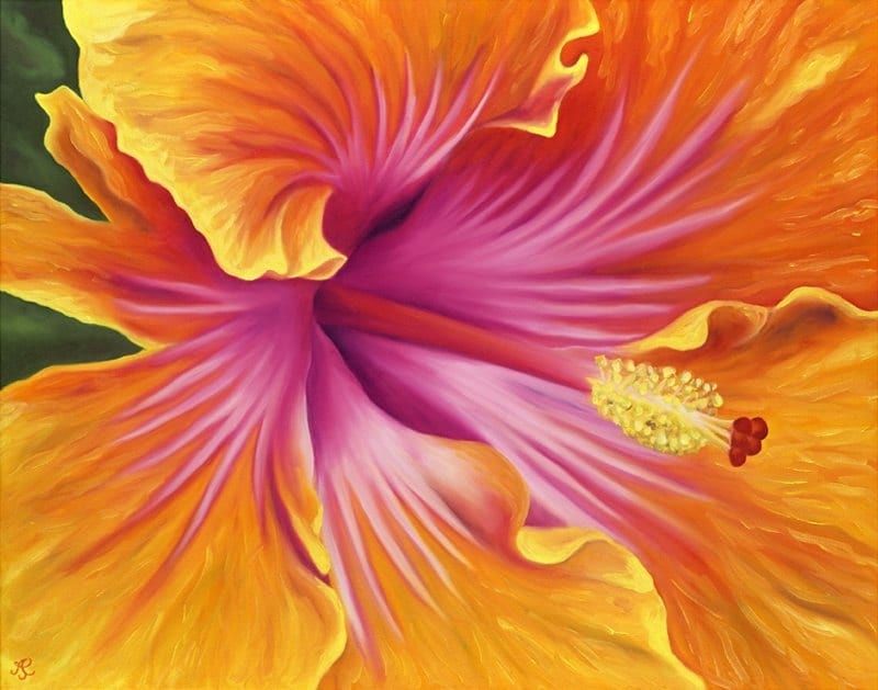 Sunrise Hibiscus Limited Edition Giclee