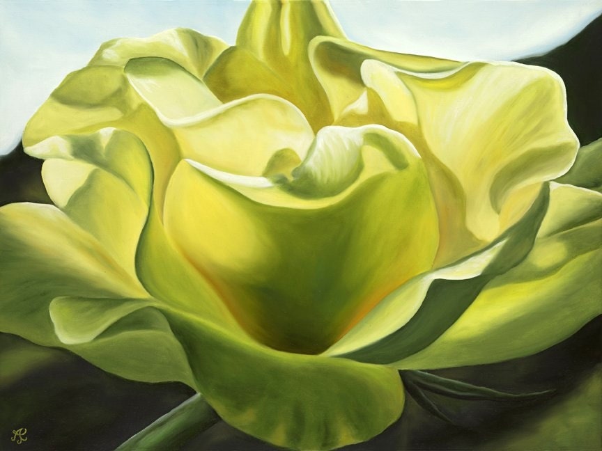 Yellow Rose Limited Edition Giclee