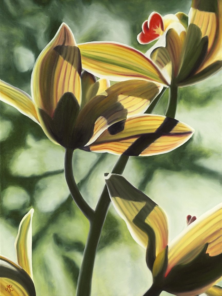 Cymbidium Shadows Limited Edition Giclee