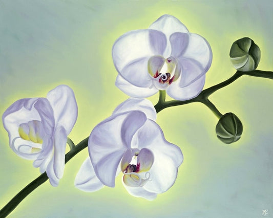 Joyful Phaleonopsis Limited Edition Giclee