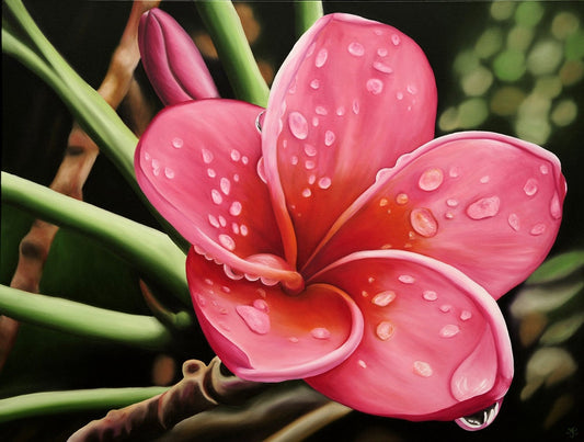 Plumeria Dew Limited Edition aluminum print