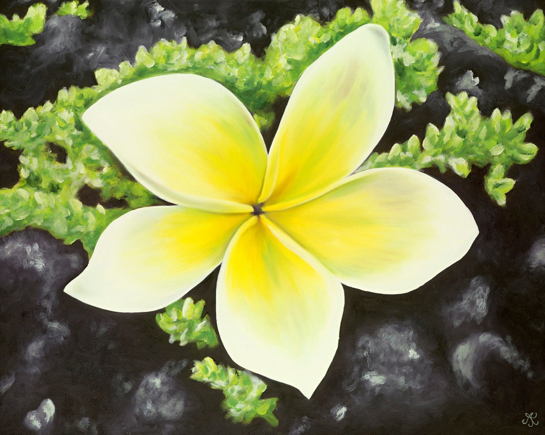 Plumeria on a Rock Wall Limited Edition Giclee