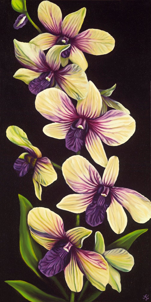 Dendrobium Night Limited Edition Giclee