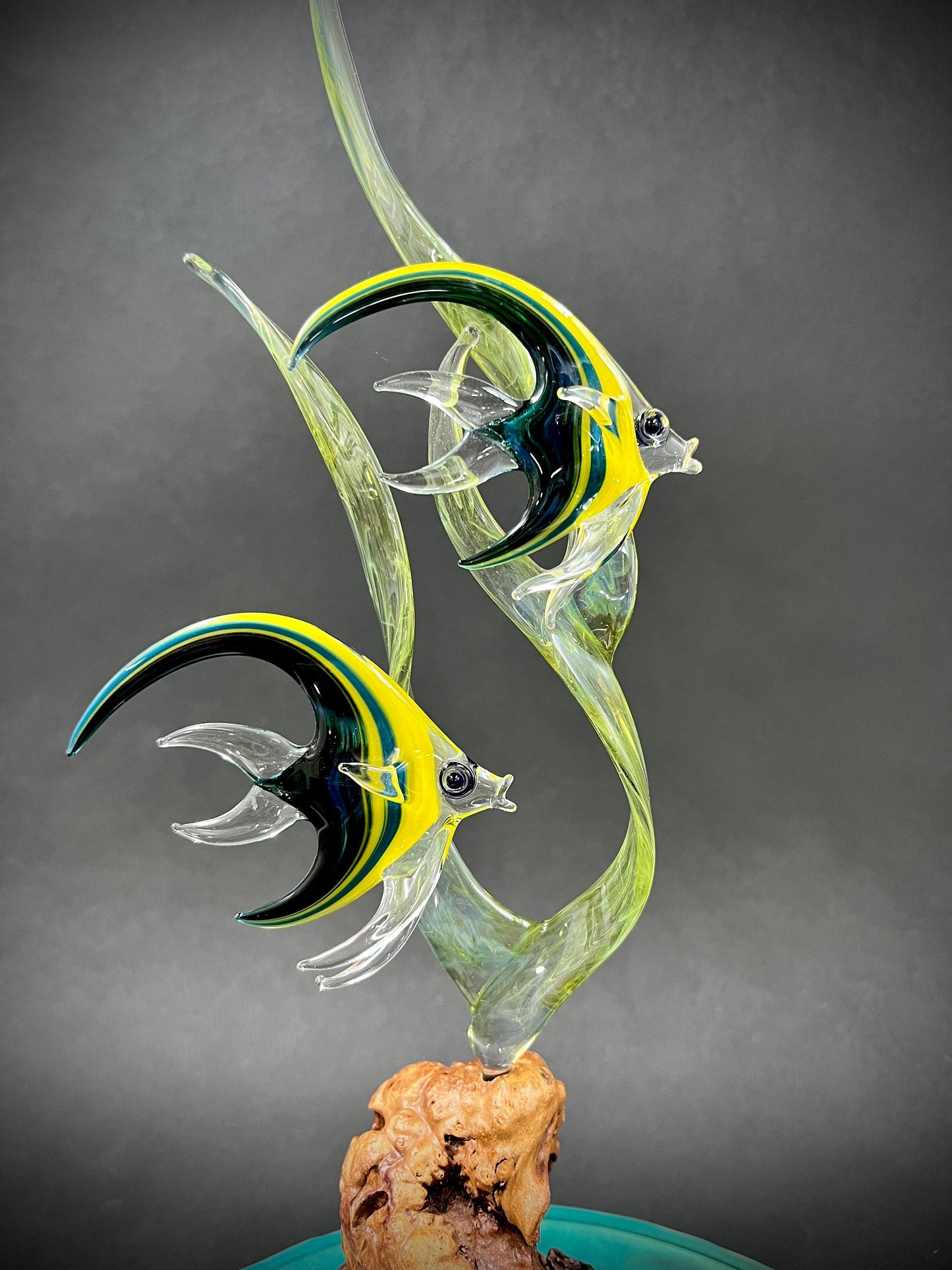 Mini Angelfish on resin ocean glass sculpture