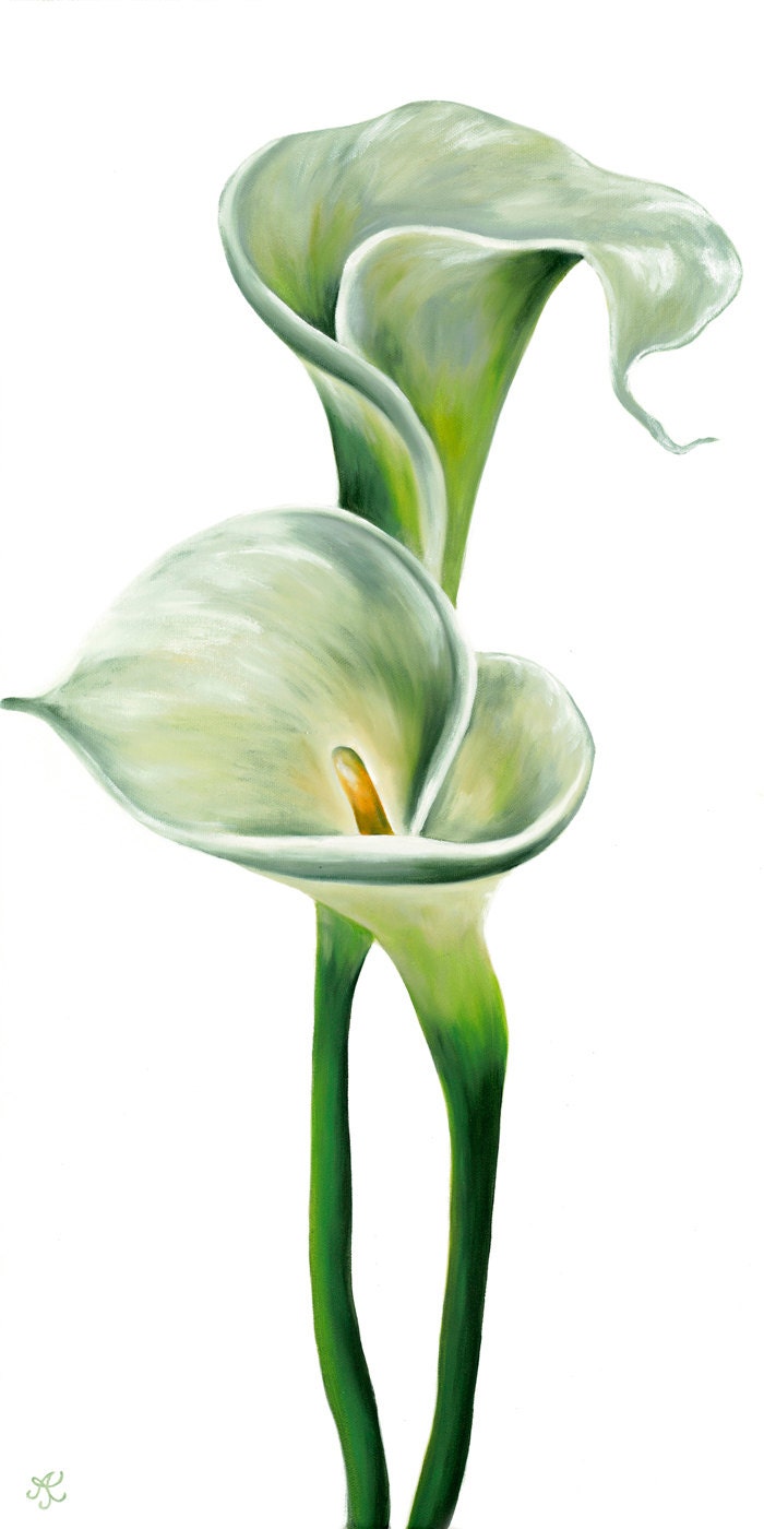 Double CallaLily Limited Edition Giclee