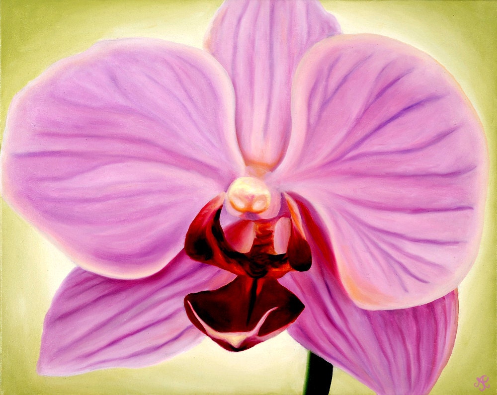 Pink Phaleonopsis Limited Edition Giclee