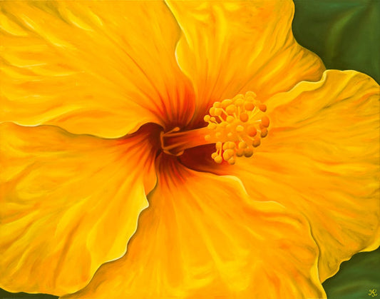 Hibiscus Sunshine Limited Edition Giclee