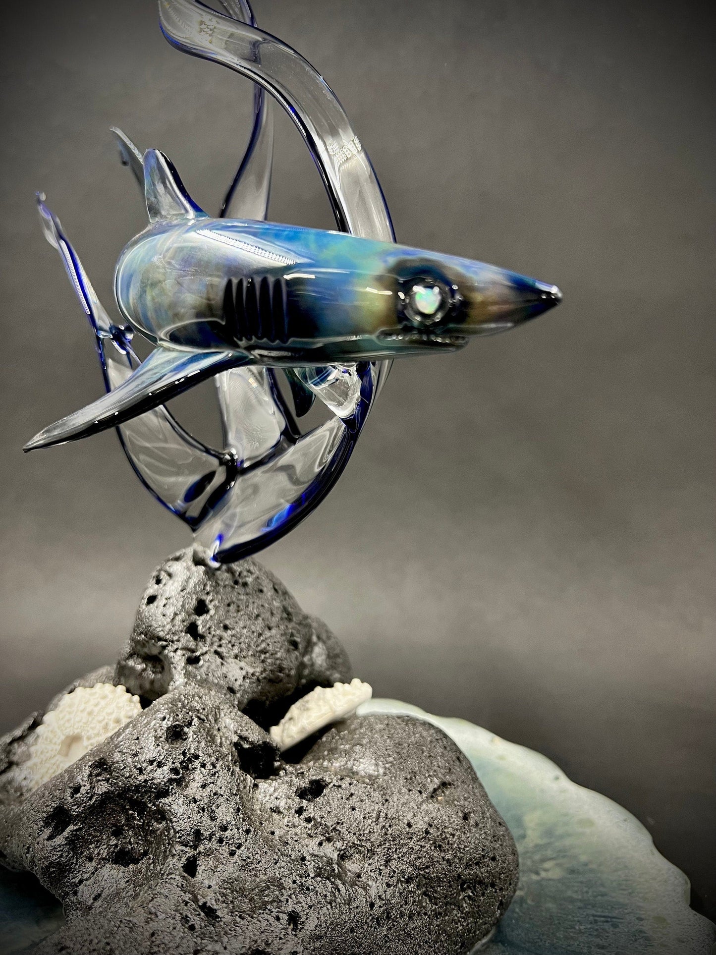 Opal eyed Reef shark glass sculpture