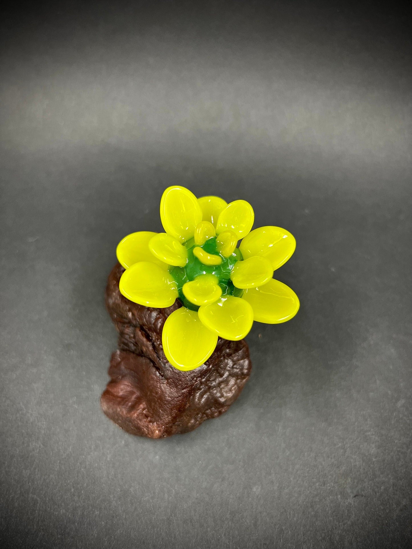 Bright Green Glass Succulent on Manzanita Burl