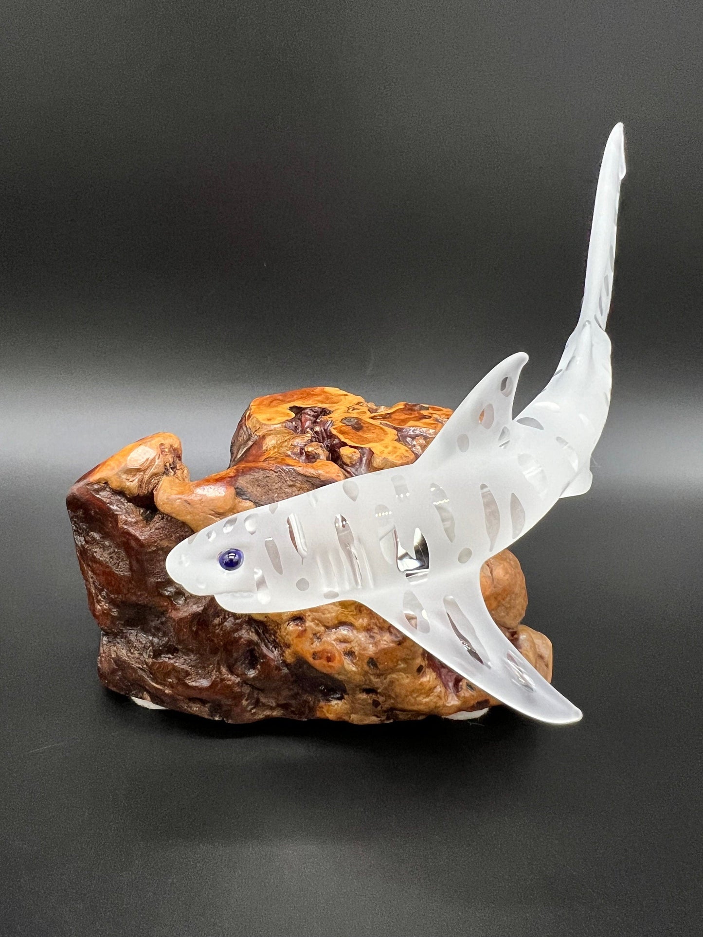 Tiger shark glass sculpture