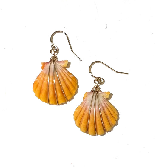 Sunrise shell simple earrings