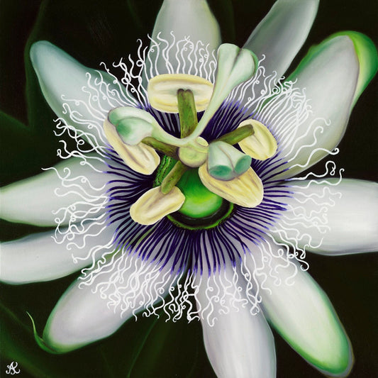 Lilikoi Limited Edition Giclee